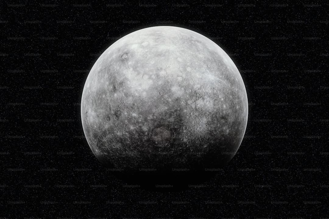 只有冬夏再无春秋什么梗